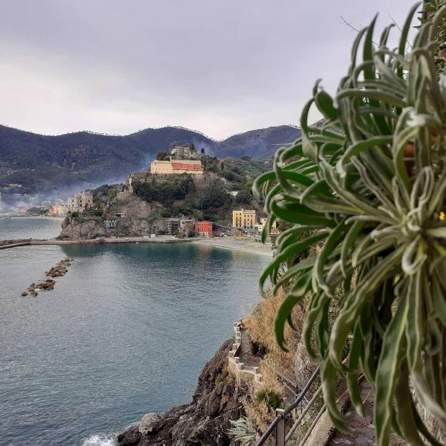 Appartamento I Pesci Monterosso al Mare Kültér fotó